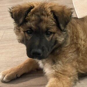 Meet your Posher, Richard